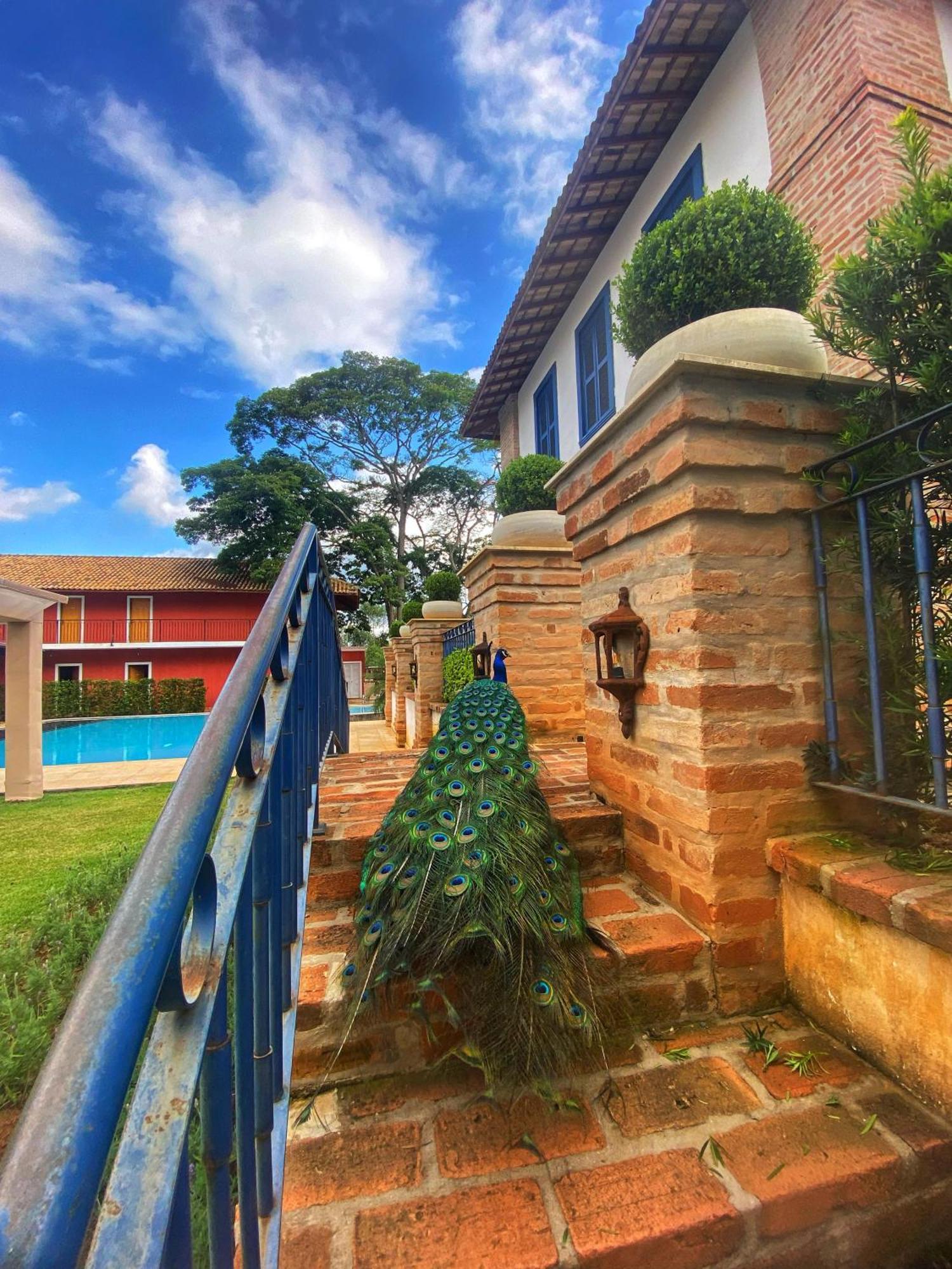 Hotel Fazenda Sao Silvano Morungaba Kültér fotó